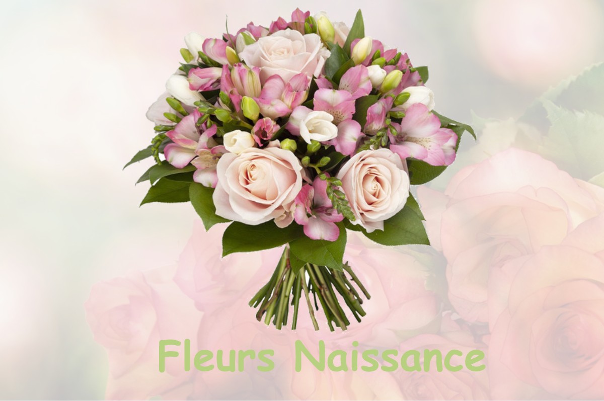 fleurs naissance RAIVAL